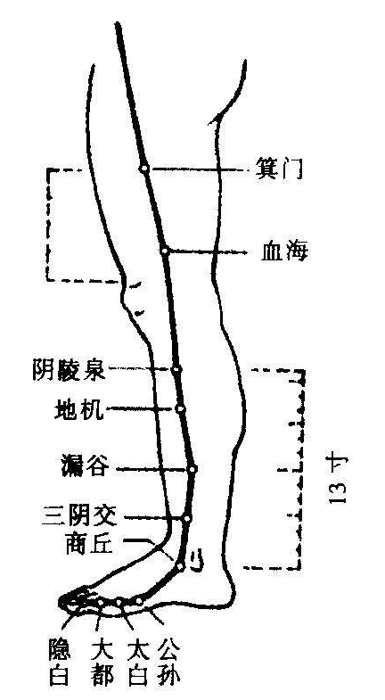 起,大都太白繼公孫,商丘直上三陰交,漏谷地機陰陵泉,血海箕門衝門前