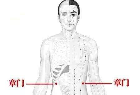 章门穴的功效与作用，章门的准确位置图片冬季养生知识