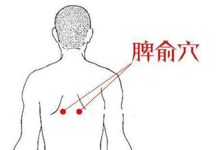 找脾俞穴的最简单的方法脾俞的准确位置图和作用中国保健养生网