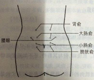 小肠俞怎么容易找？小肠俞的准确位置图片和作用中医经络养生疗法