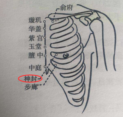 找神封穴的最笨方法,神封的准确位置图和作用保健养生