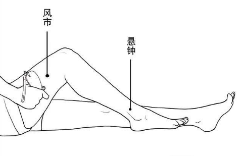 风市穴怎么找，风市的准确位置图和作用保健养生学