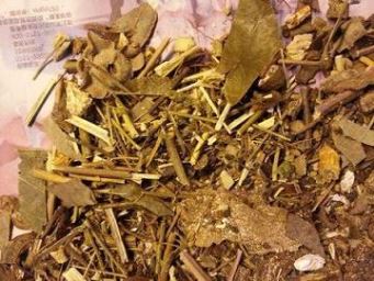 金银花金钱草泡水什么功效,金钱草泡水喝的功效与作用 金钱草泡水能天天喝吗