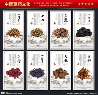 芥子的食用方法是什么 治疗咳嗽的疗方