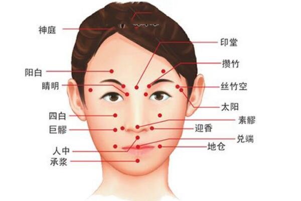 人体面部穴位图及功效作用